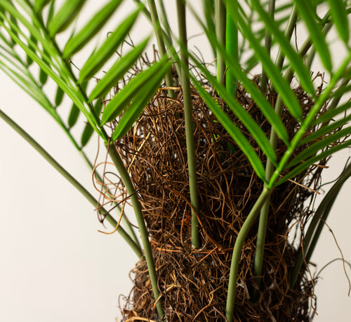 Sztuczna Palma Cykas 80cm