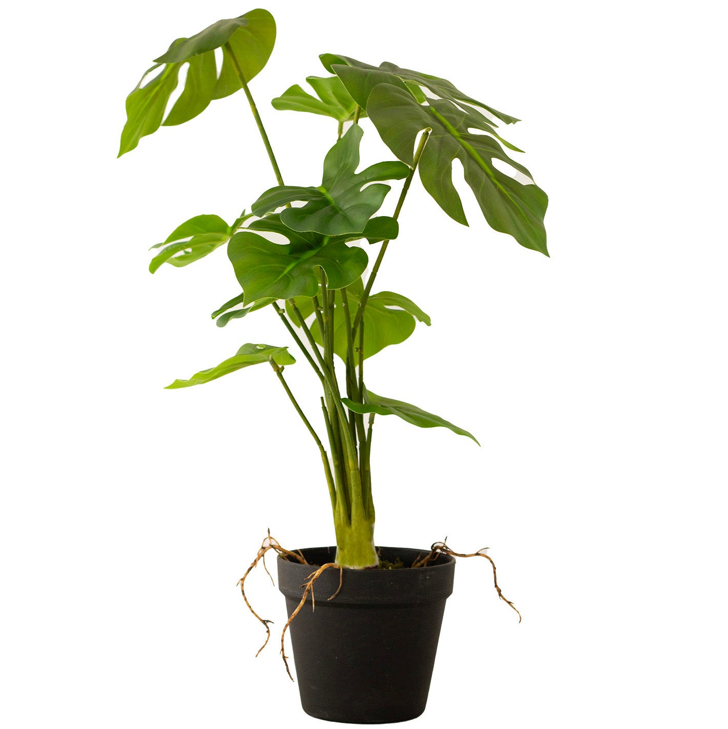 Sztuczna Monstera 50cm