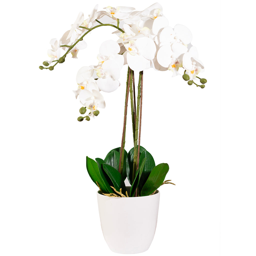 Sztuczny Storczyk 70cm