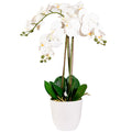 Sztuczny Storczyk 70cm
