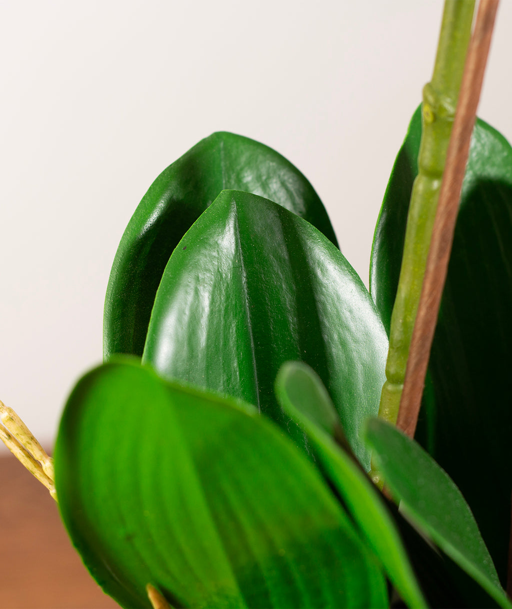 Sztuczny Storczyk 70cm