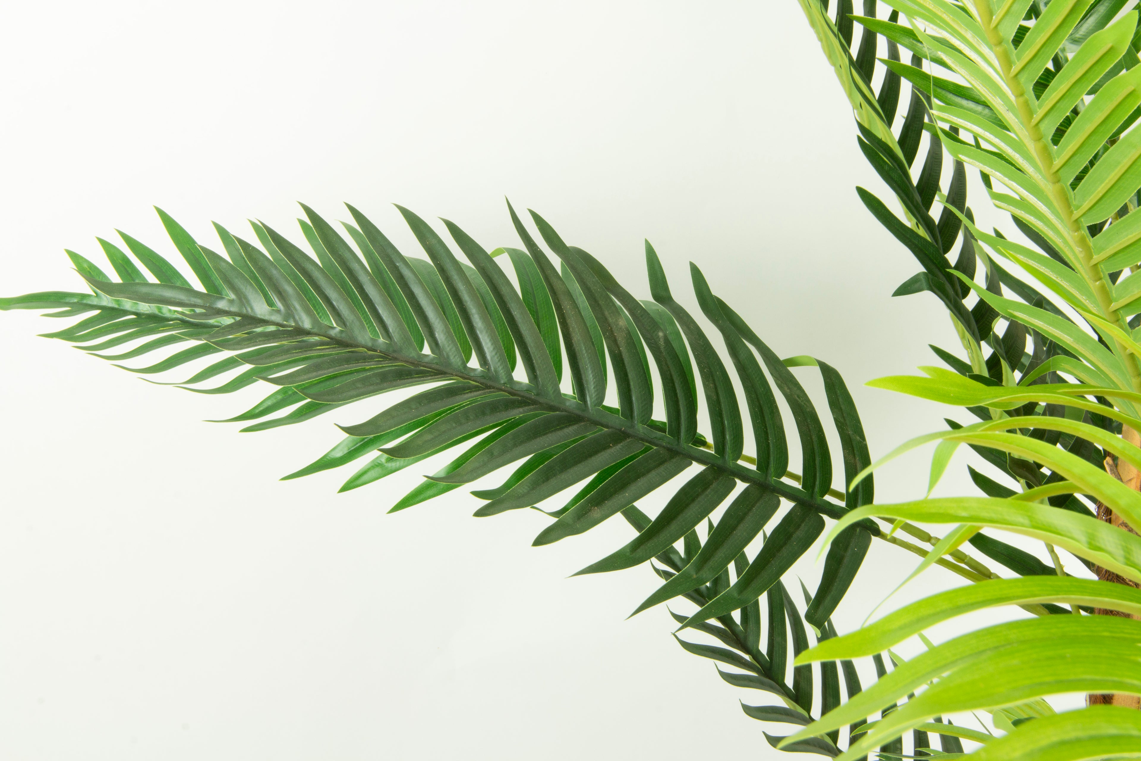 Sztuczna Palma 170cm