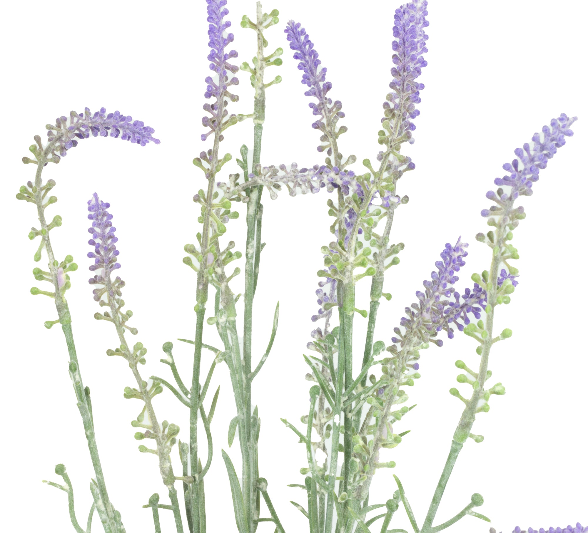 Sztuczna Lawenda 50cm