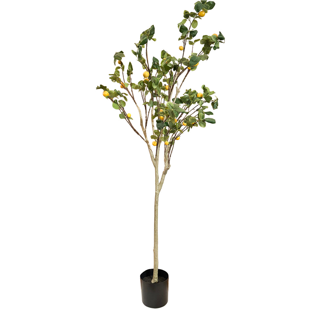 Sztuczne Drzewko Cytrynowe 180cm
