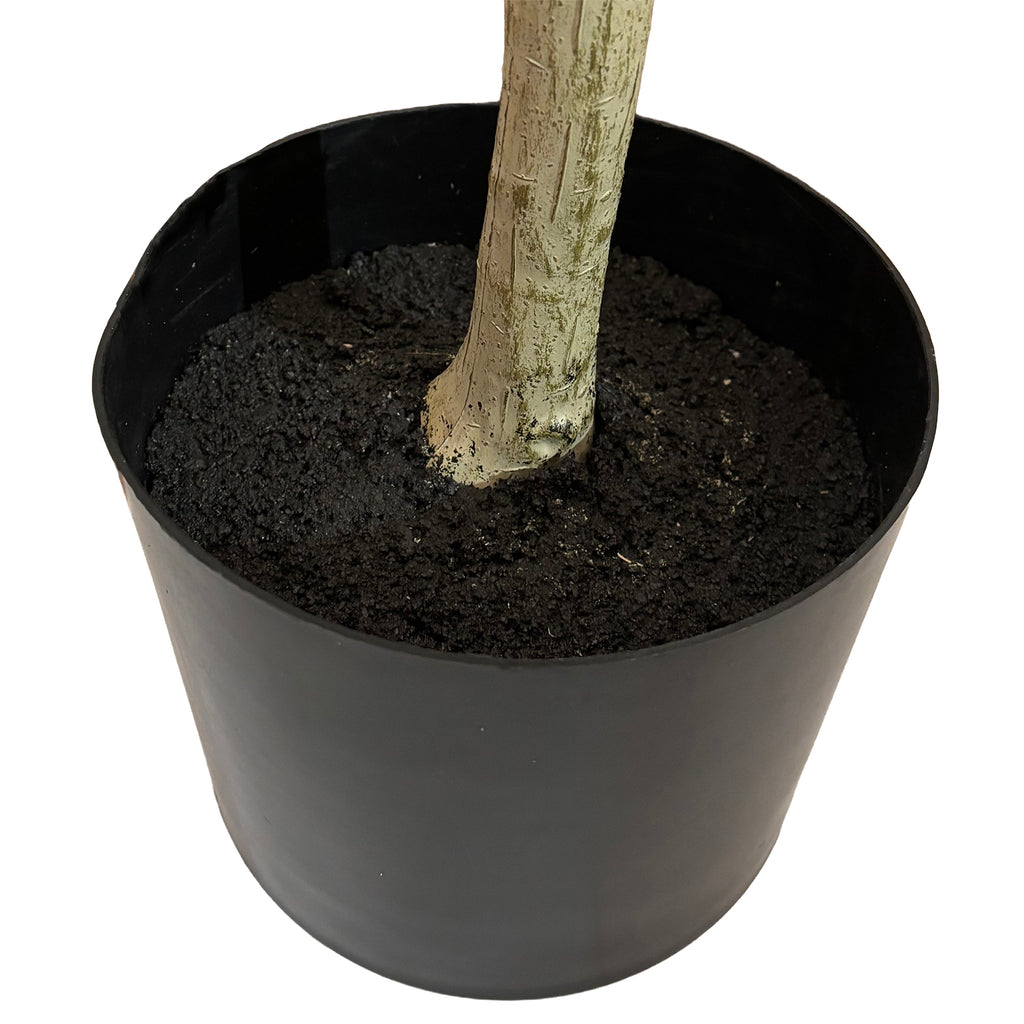 Sztuczne Drzewko Cytrynowe 180cm