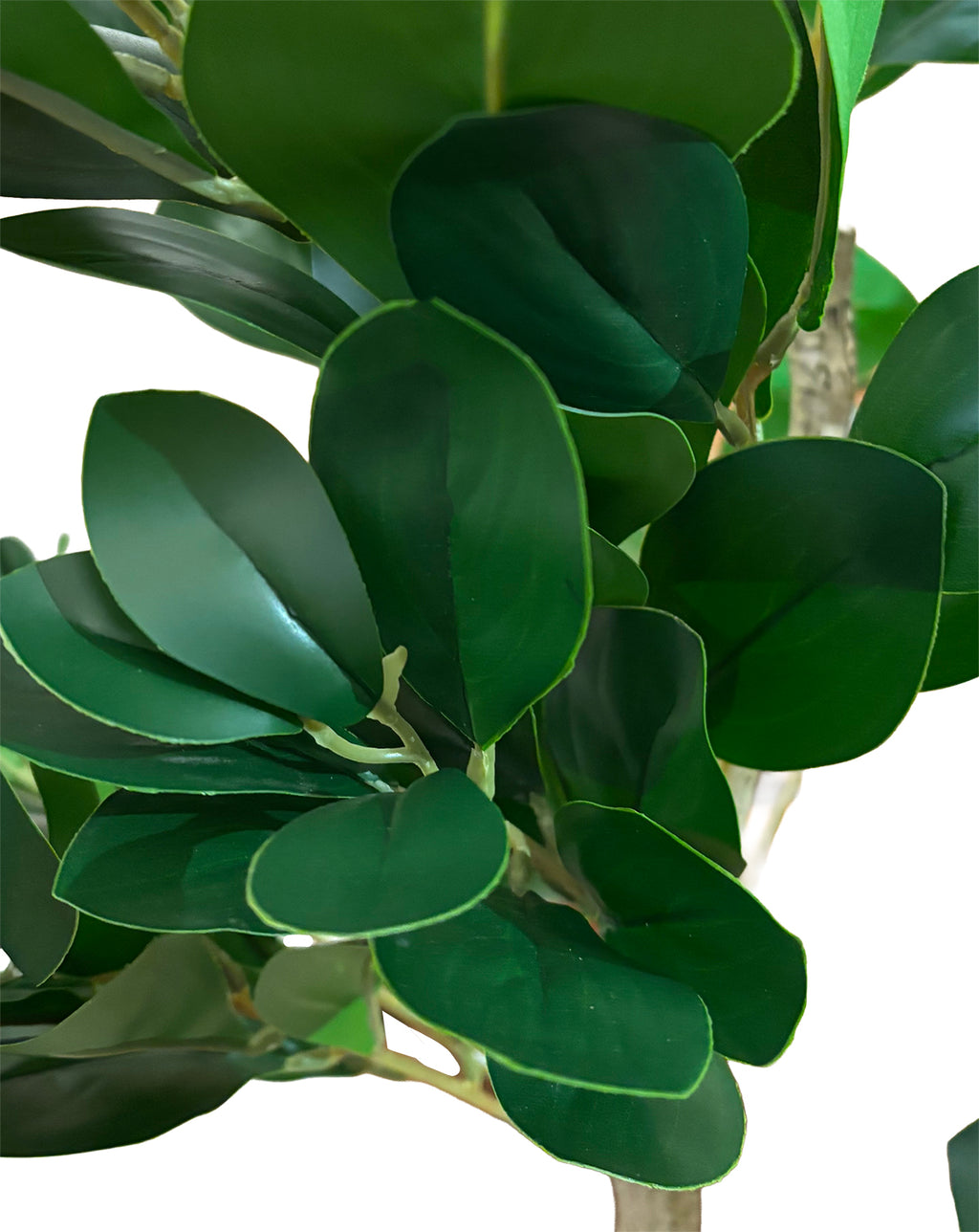 Sztuczne Drzewko Fikus 120cm