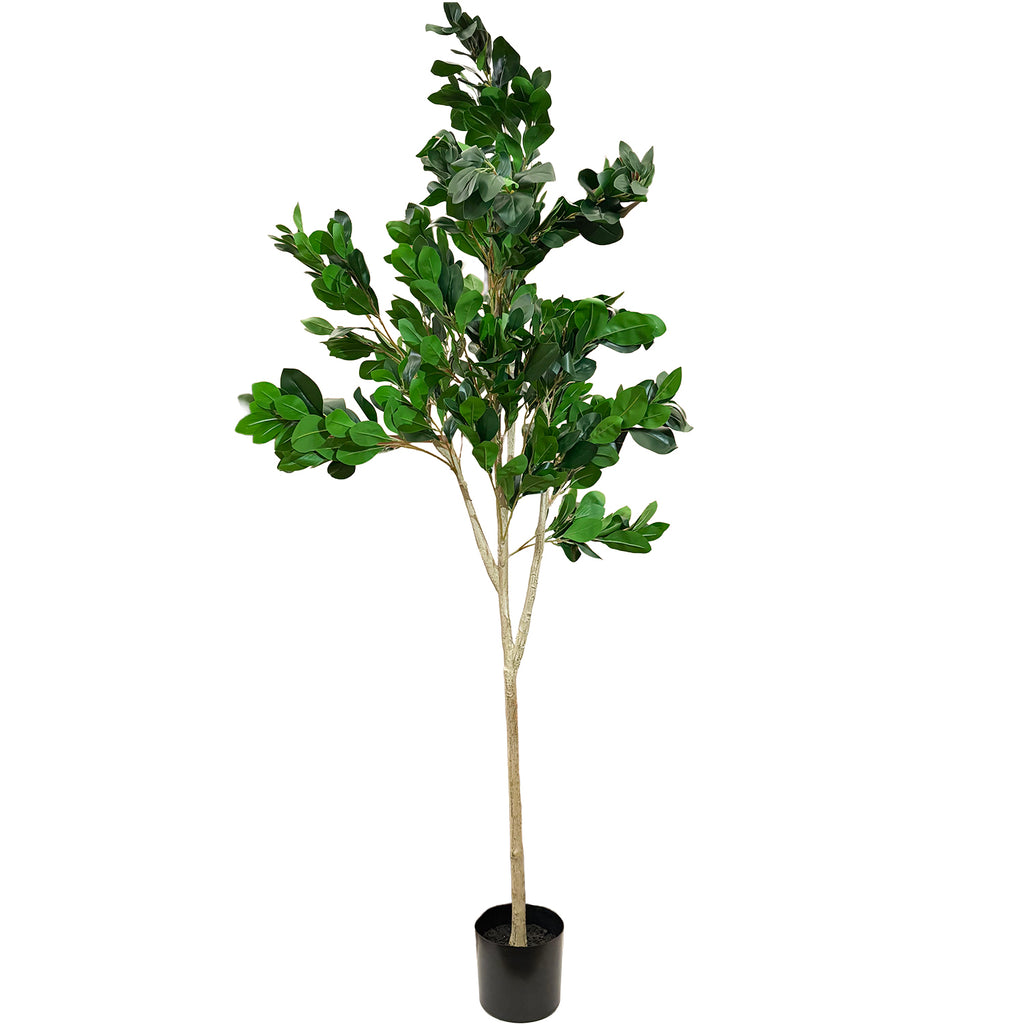 Sztuczne Drzewko Fikus 180cm