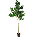 Sztuczne Drzewko Fikus 180cm