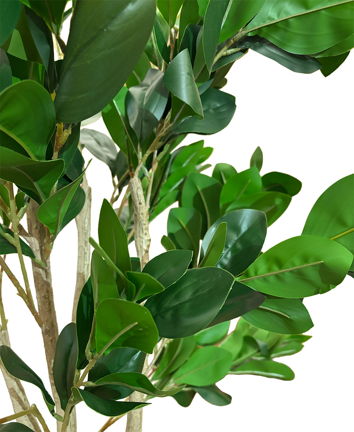 Sztuczne Drzewko Fikus 180cm