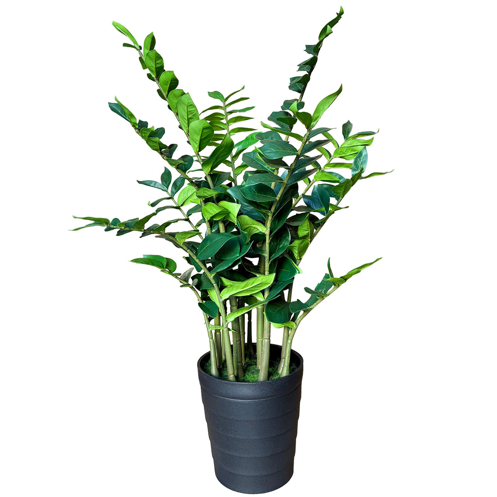 Sztuczny Zamiokulkas XL