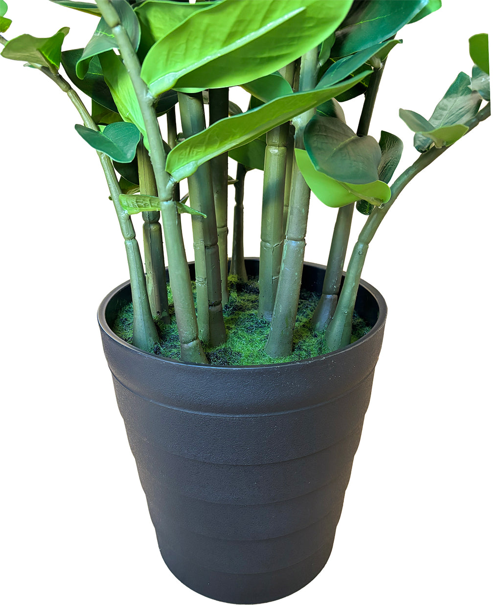 Sztuczny Zamiokulkas XL