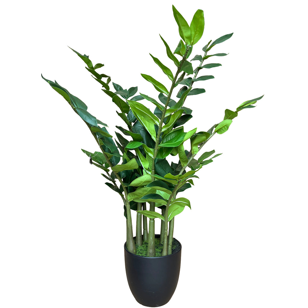 Sztuczny Zamiokulkas 80cm