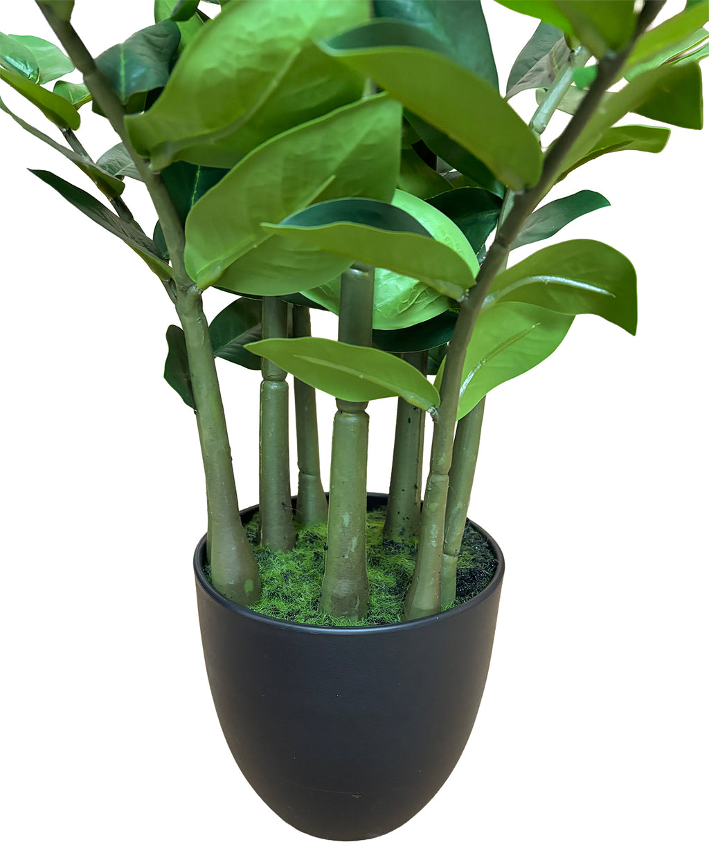 Sztuczny Zamiokulkas 80cm