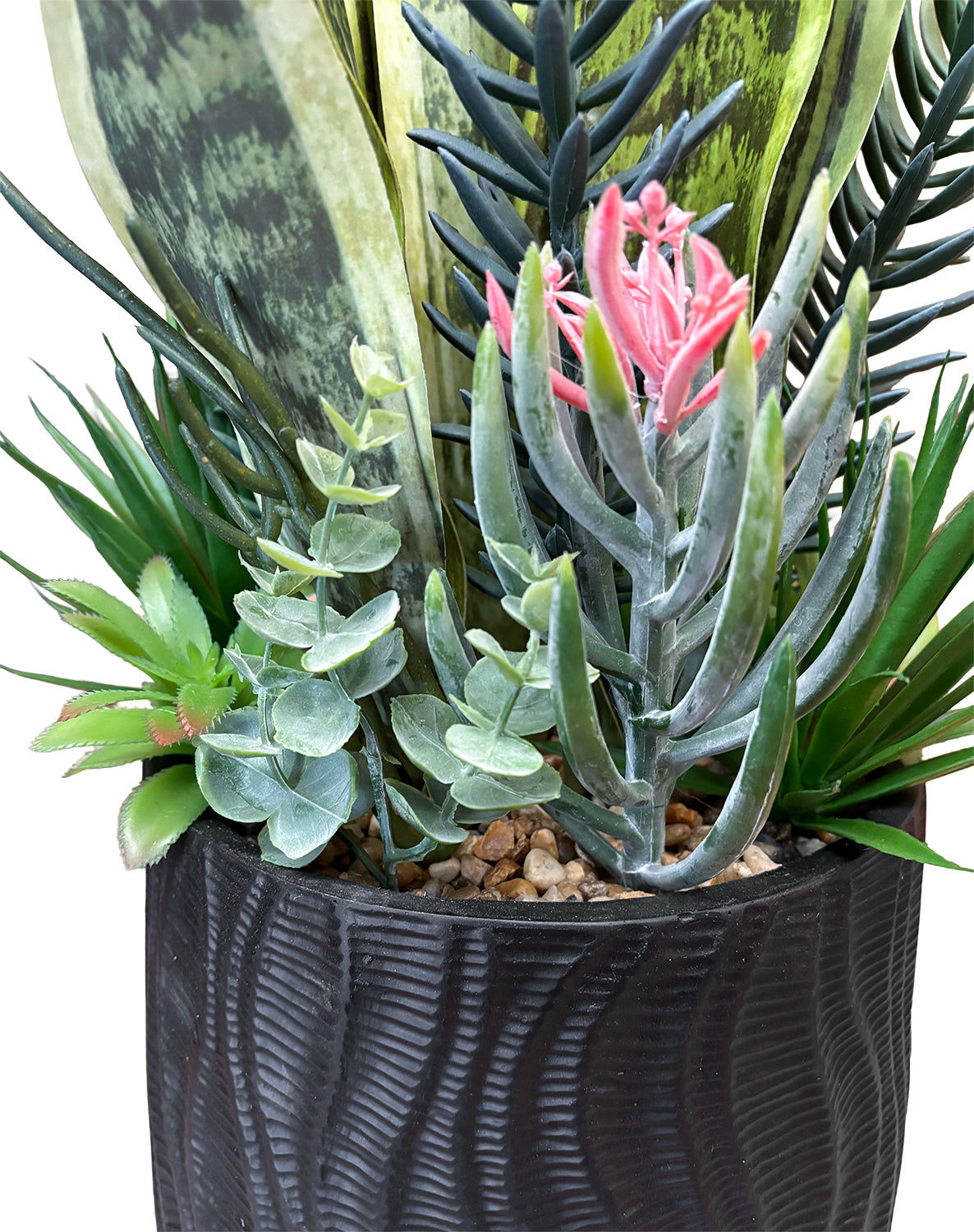 Sztuczna Sanseweria Sukulenty XL