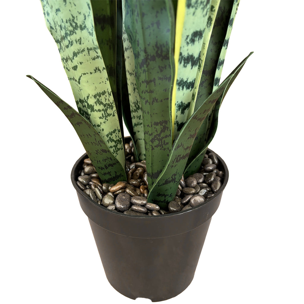 Sztuczna Sansewieria 65cm